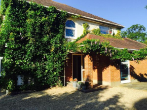 Stapehill Lodge B&B